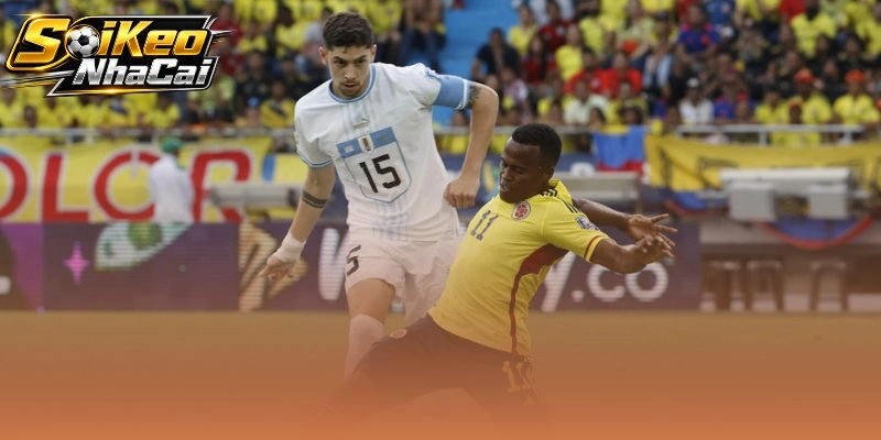 Kèo châu Á và tài xỉu Uruguay vs Colombia trong thế trận Nam Mỹ căng thẳng